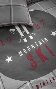 zoom ski mountain